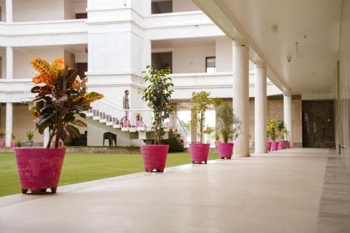 una fila de plantas en macetas rosas en un edificio en Hotel Millennium Plaza, en Jamnagar