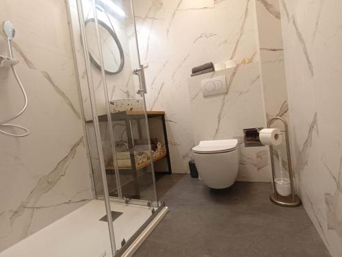 a bathroom with a glass shower and a toilet at Villa Lara Apartments in Bol
