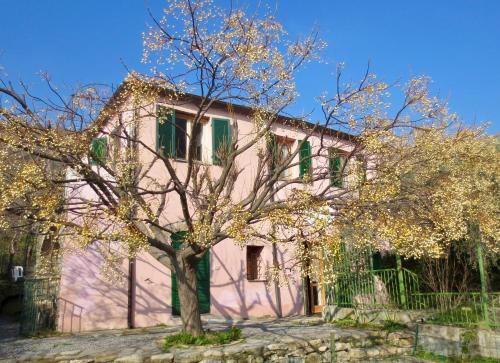 a pink house with a tree in front of it at Borgata Castello in Chiusanico