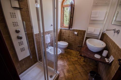 a bathroom with a shower and a toilet and a sink at Agriturismo Lapone in Orvieto