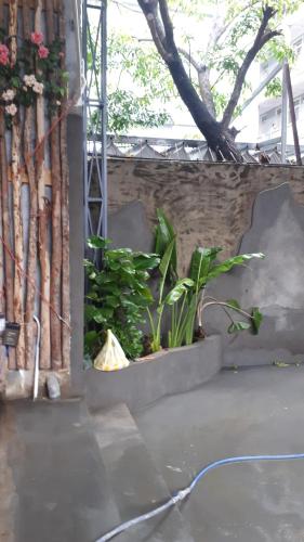 un patio con plantas y una pared de ladrillo en Hong CuXaThanhLich en Da Nang