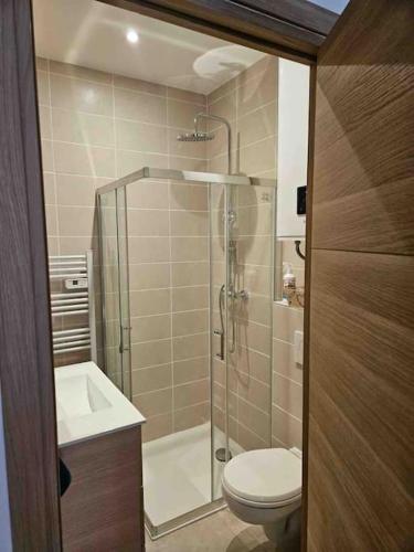 une salle de bain avec une douche, des toilettes et un lavabo dans l'établissement Charmant P3 en centre ville, à Nîmes