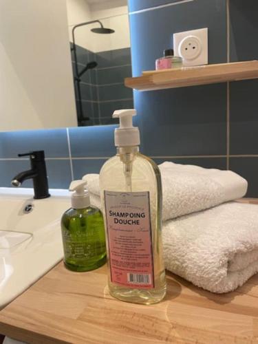 - une bouteille de savon installée au-dessus d'un comptoir de salle de bains dans l'établissement Marseille Côté Cour, à Marseille