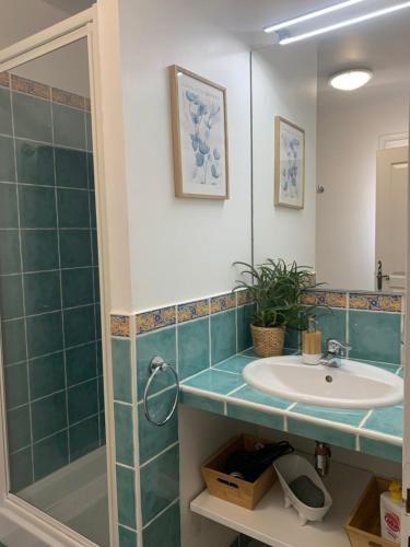 a bathroom with a sink and a shower at Suite dans un petit paradis in La Londe-les-Maures