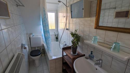 La salle de bains est pourvue d'un lavabo, de toilettes et d'une baignoire. dans l'établissement Ferienwohnung Umkirch, à Umkirch