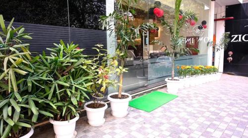 a group of potted plants in front of a store at Hotel Zion Inn, Cantonment, Varanasi in Varanasi