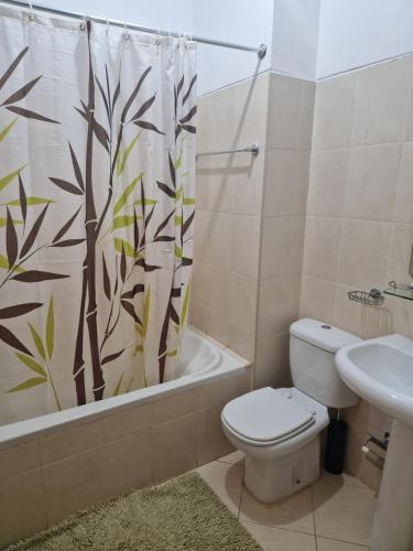 La salle de bains est pourvue de toilettes et d'un rideau de douche. dans l'établissement Condomínio palma azul II, à Praia