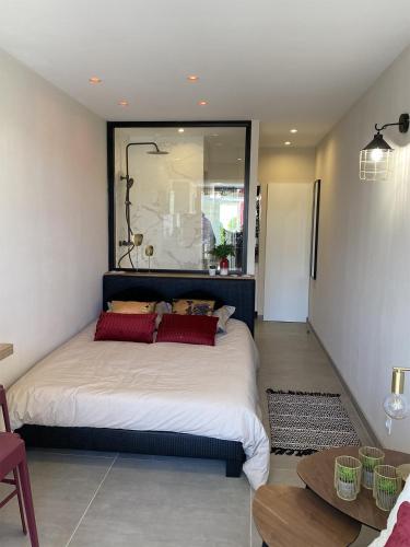阿格德角的住宿－Cap d'Agde Naturiste Port Nature 2，一间卧室配有一张带红色枕头的大床