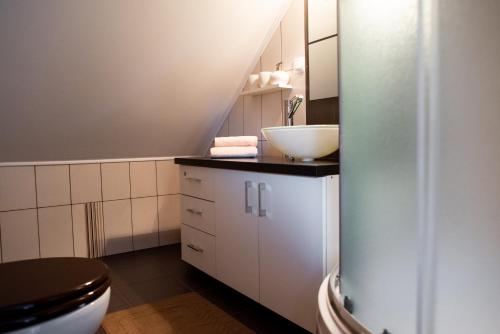a bathroom with a sink and a toilet at HIŠA ROSA in Veržej