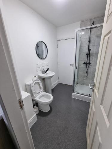 uma casa de banho com um WC, um lavatório e um chuveiro em 1 Bed Flat In Levenshulme em Manchester