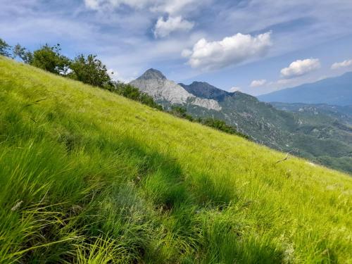 a green grassy hill with a mountain in the background at Casa Ceri in Casoli