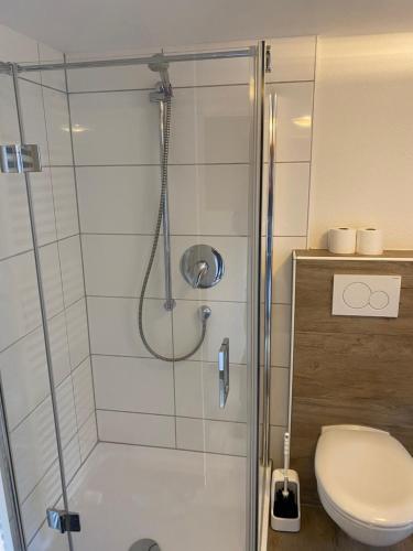y baño con ducha y aseo. en Apartment in der Altstadt, en Schwäbisch Hall