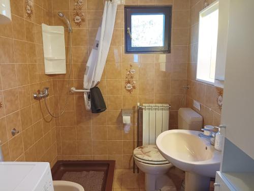 a bathroom with a toilet and a sink at Apartment D&J in Mošćenička Draga