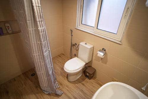 La salle de bains est pourvue de toilettes, d'une fenêtre et d'une douche. dans l'établissement Grandpa House-Attic App 4, à Tirana