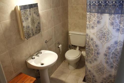 y baño con lavabo, aseo y cortina de ducha. en Cabaña, hospedaje Vegetariano en San Esteban