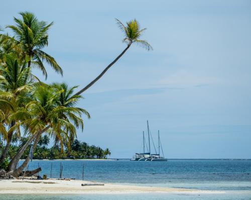 a palm tree on a beach with a boat in the water at Private Sailingyacht "Guji" With Crew All Inclusive in Isla Wichitupo Grande