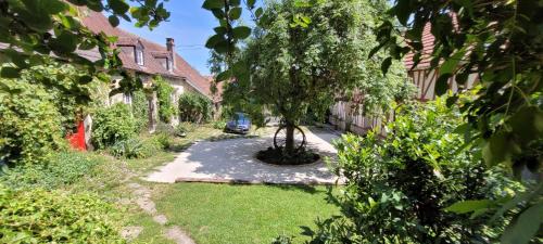 a garden with a tree in the middle of a yard at Le Clos Verdonnais in Verdon