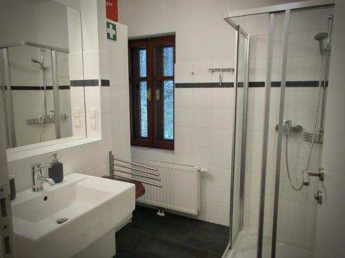 a bathroom with a sink and a shower at Gillausklause - eine Insel im Wald - Waldviertel in Gillaus