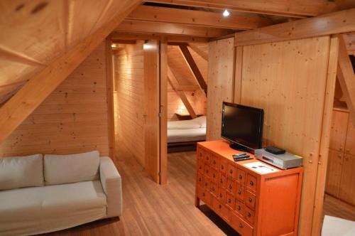 a living room with a couch and a tv in a attic at Gillausklause - eine Insel im Wald - Waldviertel in Gillaus