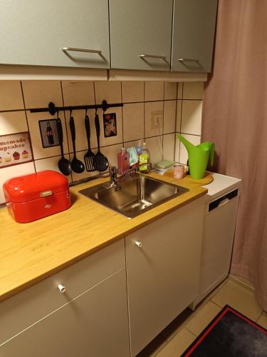 a kitchen with a sink and a counter top at Haus Luise in Stapelburg