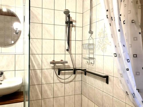 uma casa de banho com um chuveiro e um lavatório. em Quartier Planitz em Zwickau