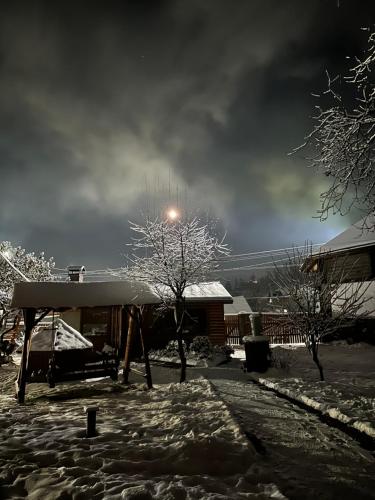 a snow covered yard with a tree and a street light at Три-О Апартаменти з видом на гори, максимум для 4 гостей, 15 хв від центру in Slavske