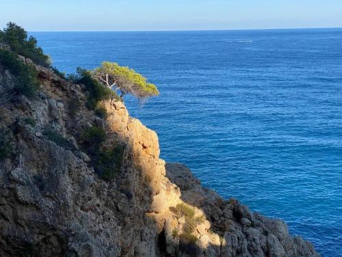 Φυσικό τοπίο κοντά σε αυτή η βίλα