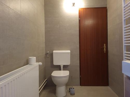 a bathroom with a toilet and a brown door at Jurček Holiday Home in Kotlje