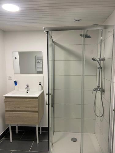 a bathroom with a glass shower and a sink at Les Pichies, T2 Maxou, centre ville. in Digoin