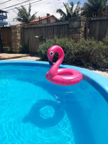 a pink flamingo float in a swimming pool at Equilibrium Pousada Familiar (orquídeas) in Torres