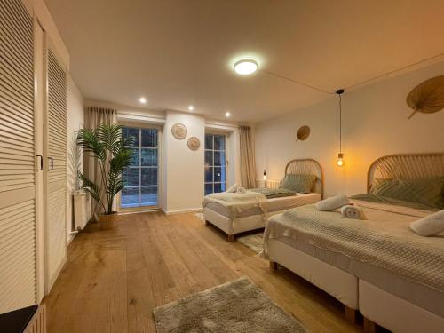 um quarto com duas camas e um vaso de plantas em Bamboo Berlin em Berlim