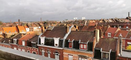 a group of roofs of houses in a city at Reims Appart - Idéal pour Pro en déplacement *Wifi rapide *Vue panoramique *Parking facile in Roubaix