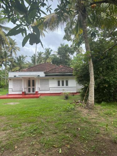 a white house with a palm tree in the yard at Unrushed Midigama in Midigama