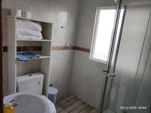 een kleine badkamer met een toilet en een douche bij Valle de la Luna in Coihaique Alto