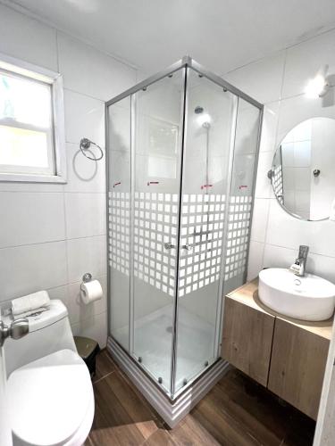 a bathroom with a shower and a toilet and a sink at Cabaña El Nativo 2 - Licán Ray in Licán Ray