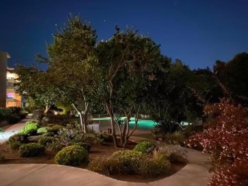 einen Garten mit Bäumen und Büschen in der Nacht in der Unterkunft Departamento Mar, Bosque, Lomas de Papudo III, wifi in Papudo