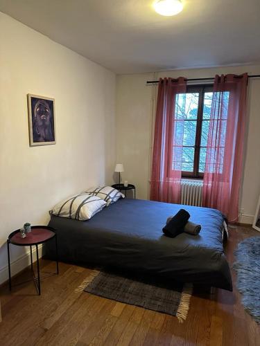 a bedroom with a bed and a window with pink curtains at Chambre double Montreux centre vue lac in Montreux