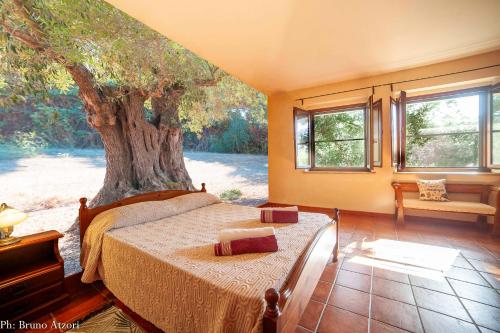 a bedroom with a bed with a tree on it at Sa Tanchitta in Ulà Tirso