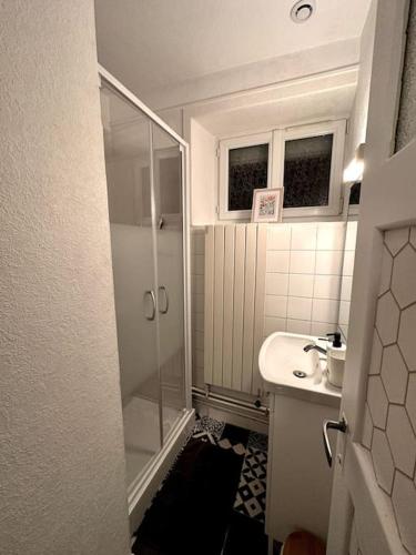 La petite salle de bains est pourvue d'une douche et d'un lavabo. dans l'établissement Appartement rénové entre Saint-Malo et le Mont-Saint-Michel, à Dol-de-Bretagne