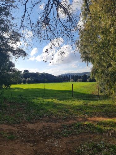 a field of green grass with a fence and trees at Casa in Provinca in Orbetello