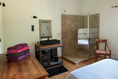 a bedroom with a sink and a mirror and a bed at Mas en Provence calme et sérénité piscine chaufffée in Verquières