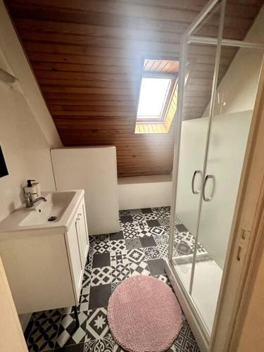a small bathroom with a shower and a sink at Charmant appartement entre Saint-Malo et le Mont-Saint-Michel in Dol-de-Bretagne