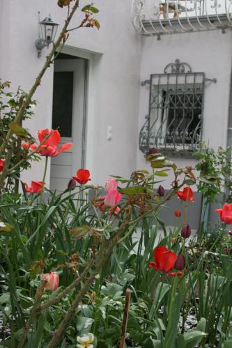 eine Gruppe roter Blumen vor einem Gebäude in der Unterkunft Appertment im Garten in Worms