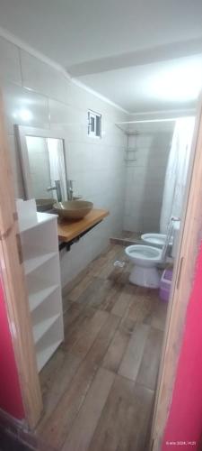 a bathroom with a sink and a toilet in it at Departamento Esquel in Esquel