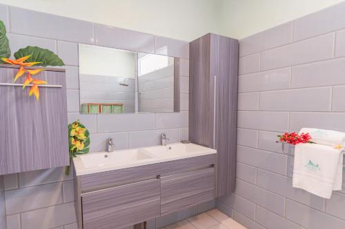 W łazience znajduje się umywalka i lustro. w obiekcie Ataku'a Lodge w mieście Hakamui