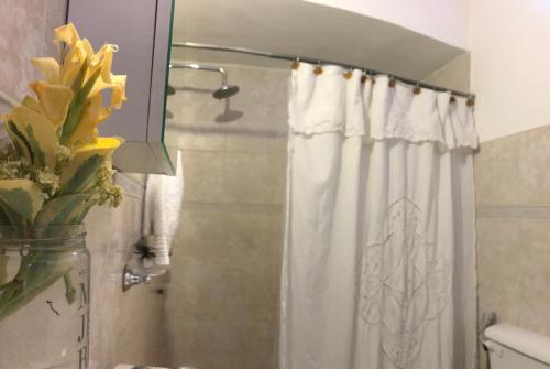 y baño con ducha y cortina de ducha. en MSPropiedades en Viedma