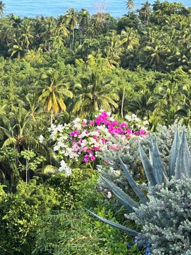 a garden with colorful flowers and palm trees at Piece of Paradise in Las Terrenas