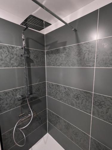 une salle de bain avec douche aux carreaux gris dans l'établissement Sur la route de Chenonceau, à La Croix-en-Touraine
