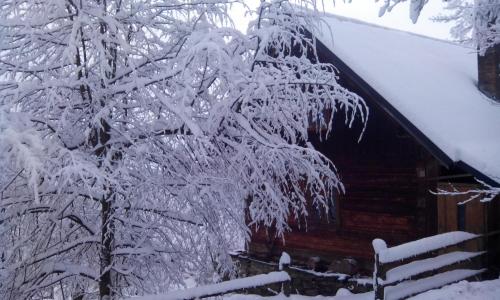Caputówka 100 letnia chata žiemą