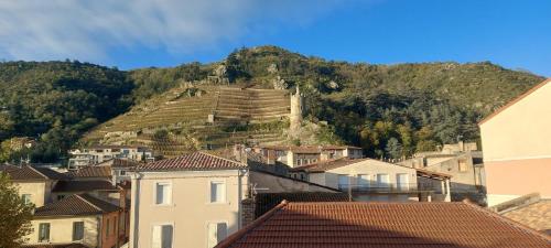 une colline avec un château au sommet d'une ville dans l'établissement Eveiller vos papilles, à Tournon-sur-Rhône